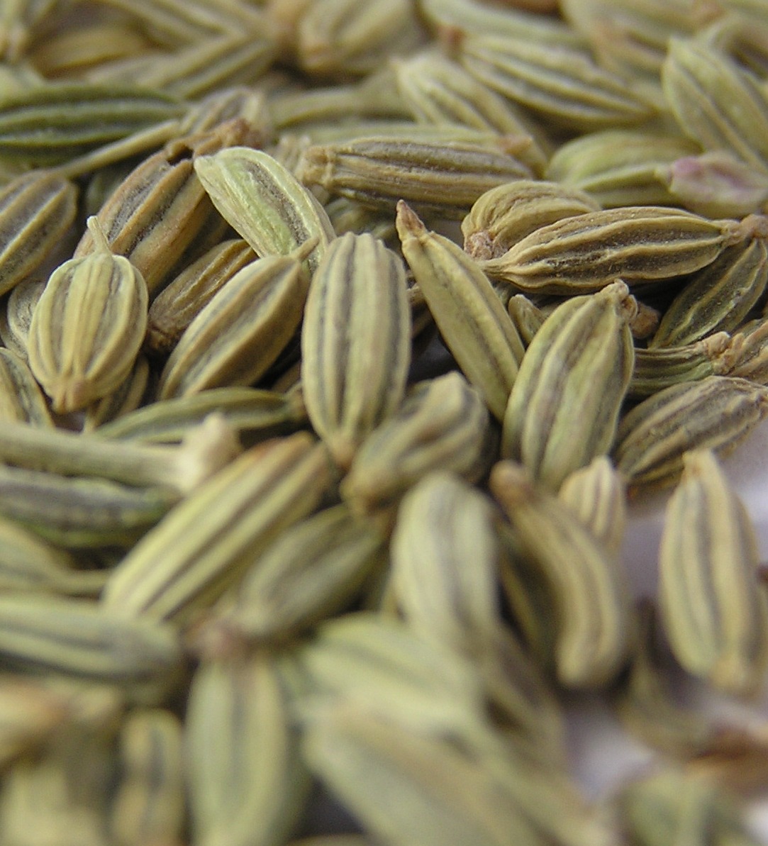 کمون ، سنوت